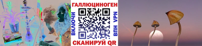 это Telegram Тетюши Галлюциногенные грибы мухоморы что такое